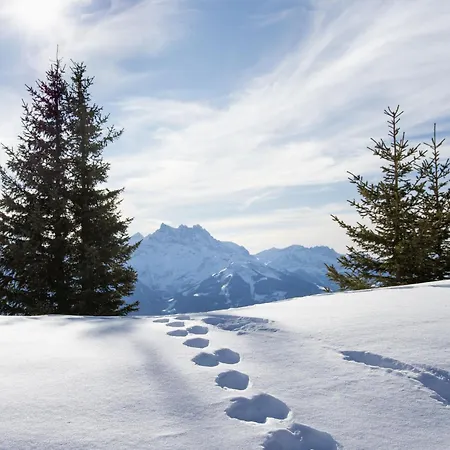 Schuss 23 By Interhome * Villars-sur-Ollon