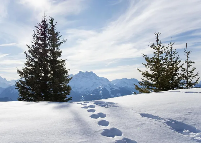 Schuss 23 By Interhome * Villars-sur-Ollon