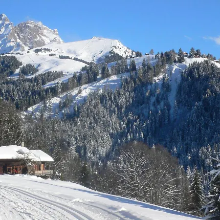 Schuss 23 By Interhome Villars-sur-Ollon